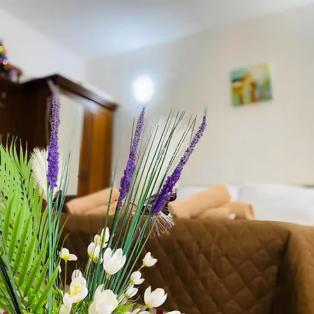 Elegance Διαμέρισμα