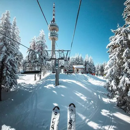 Elegance * Pamporowo