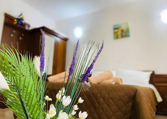 Elegance Апартамент